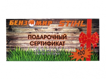 Подарочный сертификат на 100 рублей