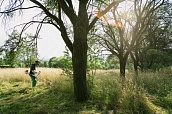 FS 100