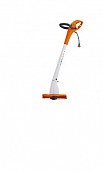 FSE 31