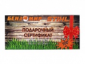 Подарочный сертификат на 100 рублей